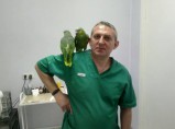 Лечение птиц в Москве / Москва